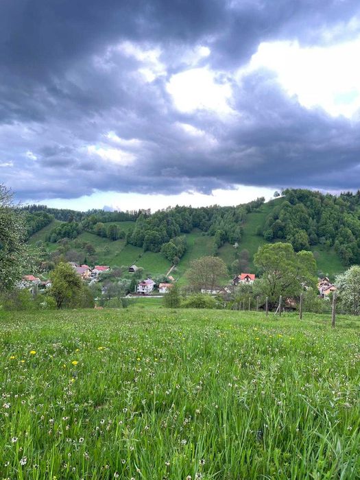 PROPRIETAR - 3274 mp intravilan Simon (BRAN)