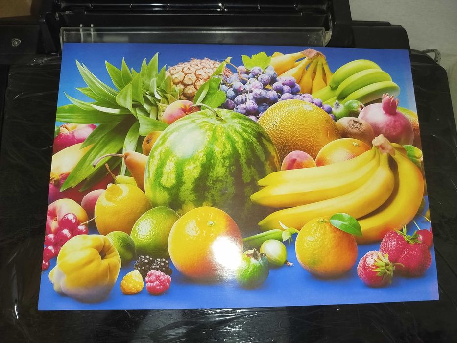 Epson TX209 принтер сканер копия