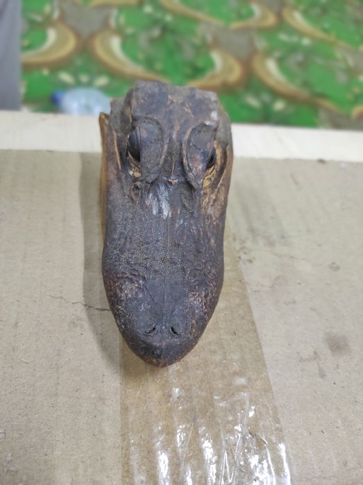 Чучело крокодила