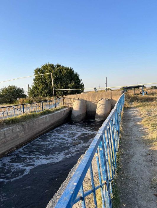 УЙ Хонадон Янгийул