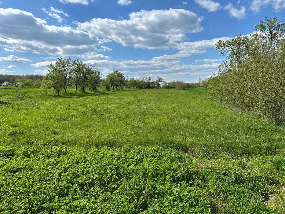 Vând teren intravilan în Teiș