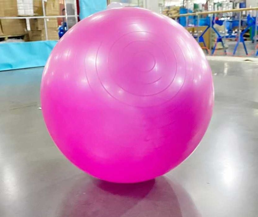 Pardoseala cauciuc fitness 2,2 cm, 50/50 cm / Minge fitness 55 cm