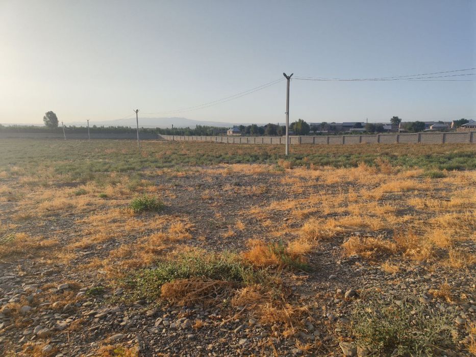 Паррандачилик ва чорвачилик фермаси сотилади