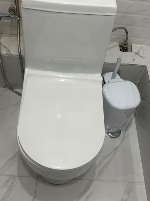 Домашний унитаз
