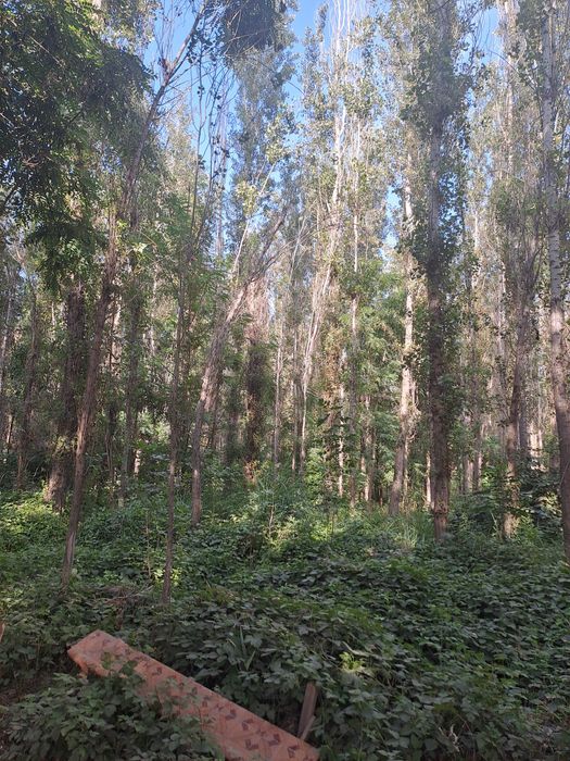 Земля дачный поселок