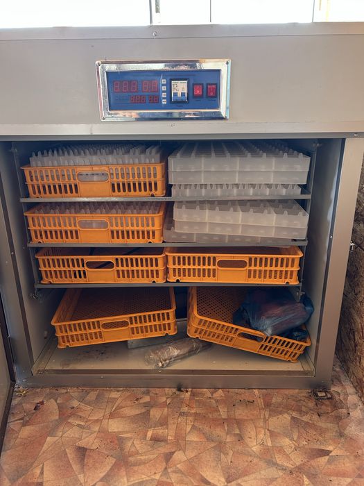 Инкубатор бизон 528