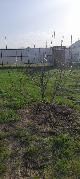 Продается дом в чернов вариянте