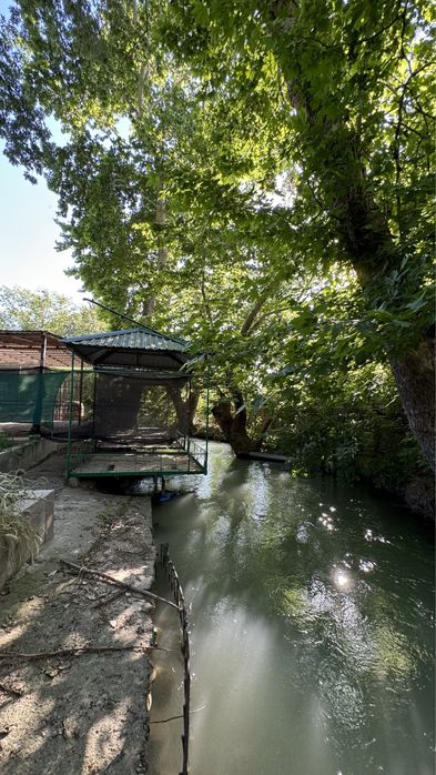 Tadbirkorlik uchun suv boyida 5,4 sotix joy sotiladi  !