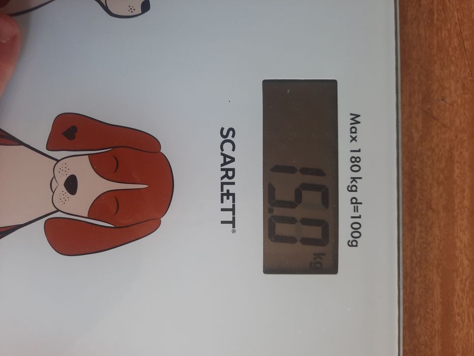 Весы рабочие Scarlett