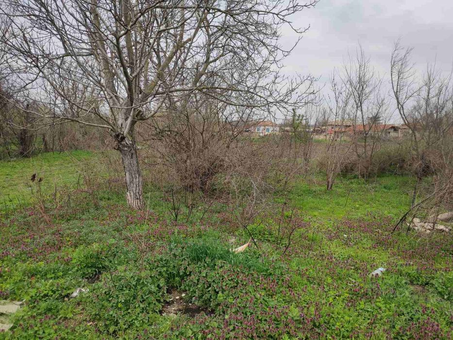 Продавам УПИ в с. Снежина, общ. Провадия 4 дка