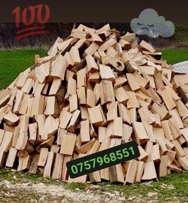 Lemn de foc,(Fag) 500lei
