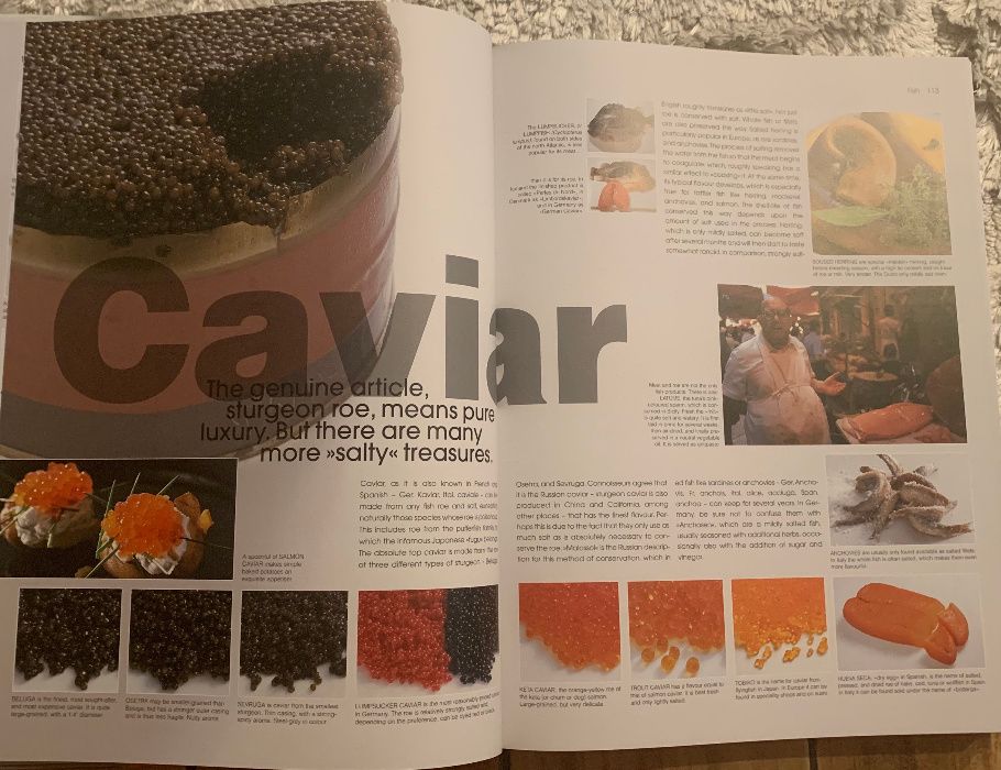 Album/Enciclopedie FOOD engl 38/30cm nefolosita carte bucate ingredien