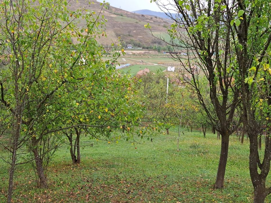 Teren intravilan de vânzare în Com Sic