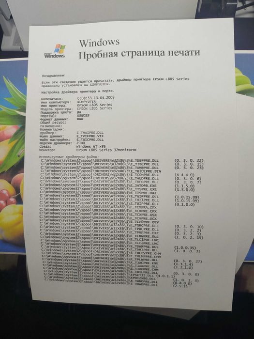 Epson L805  wi fi Ranglik printer
