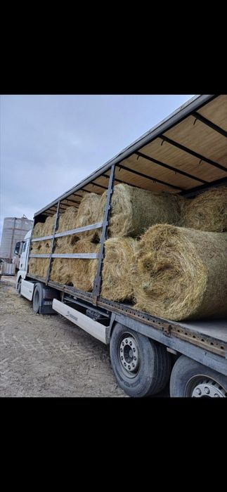 Baloti fan 250-500 Rotunzu 40 Fan or Lucerna.La TIR>RO Ferma chirie

Baloti se aduc pe garantie.
Uferim si cerem seriozitate. 

Doar la TIR 
Baloti fa