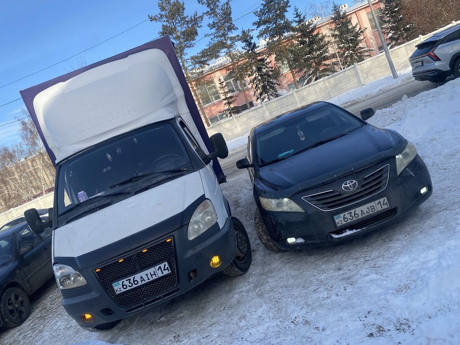 Газель трех местка