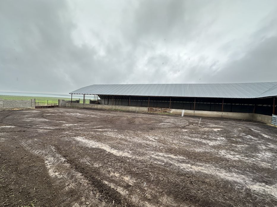 Дайын Қора 800-га жер телімі сатылады