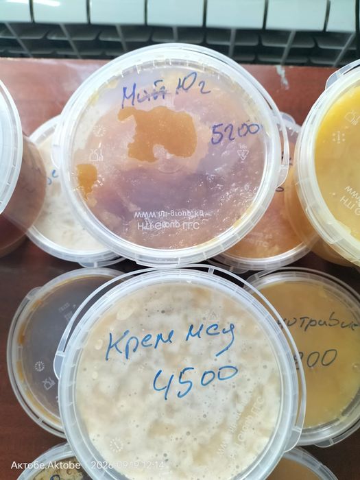 Мед натуральный продам