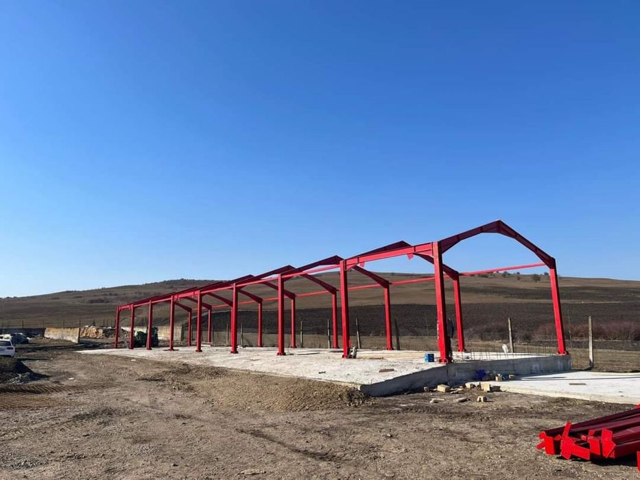 Structuri hale metalice
