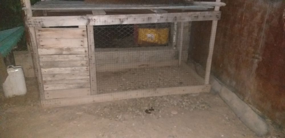 Балапанға сетка сатылады