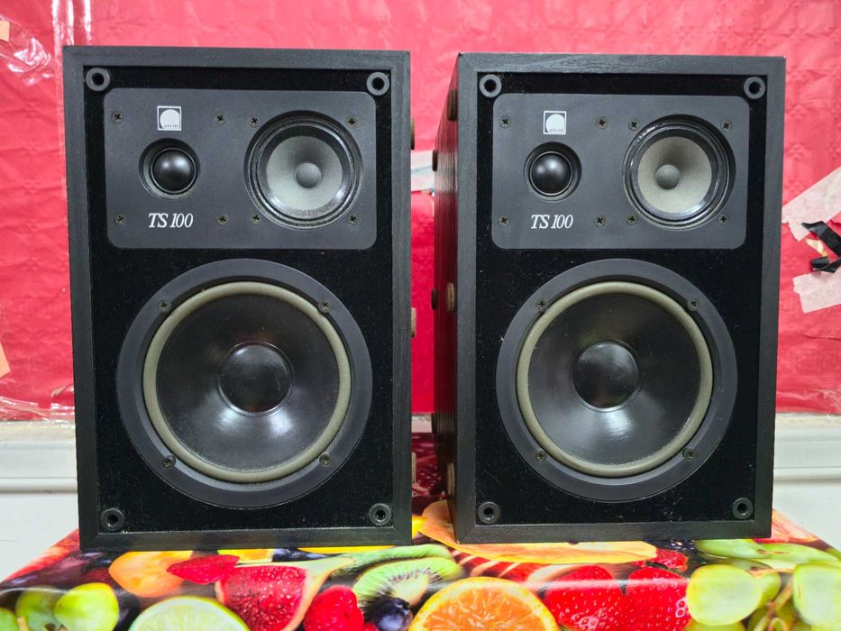 Boxe Arcus TS100