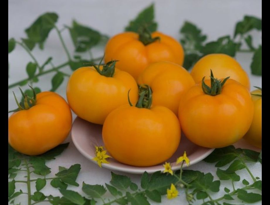 Рассада овощей и цветов