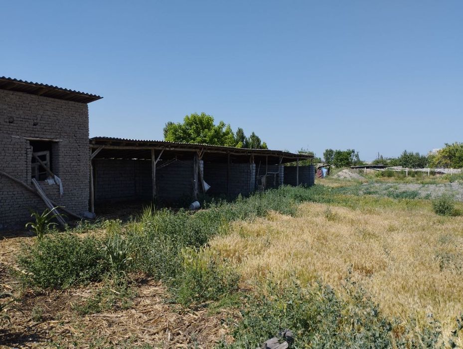 Uy sotiladi 16 sotik