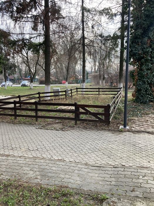Vand cedez concesiune spatiu comercial teren 43 mp Strandul Neptun Arad ...