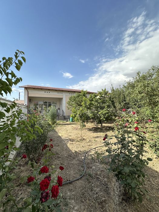 ховли 6 сотых, янги батош, карши