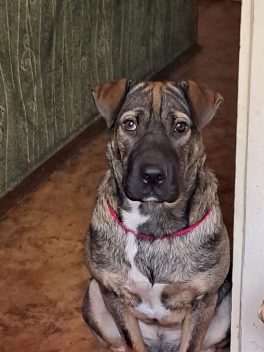 Парень ищет девушку