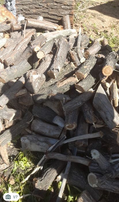 Федоровка карагач