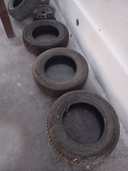 Шипы в хорошем состоянии