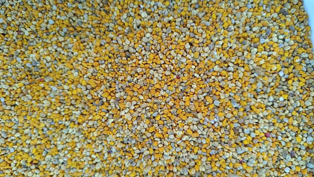 Цветен Прашец 15 евро/кг