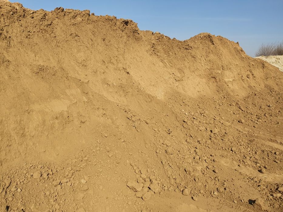 Vand PAPAMANT vegetal Negru, Nisipos pt gazon, Umplutura si Mranita