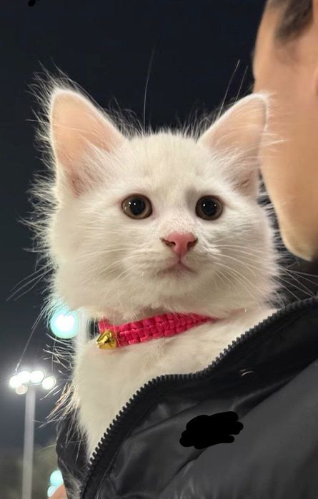 Talabalar seks partiyalari porno videolar