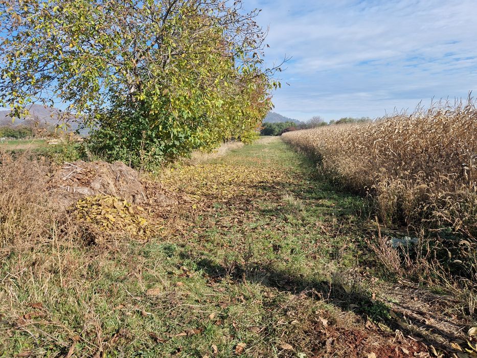 Terenuri de vânzare