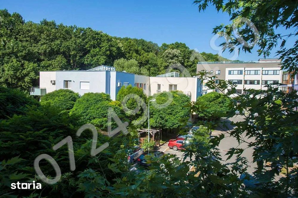 Studio Greenfield de la proprietar