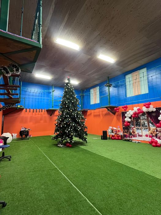 Сдам в аренду Ёлку + помещение