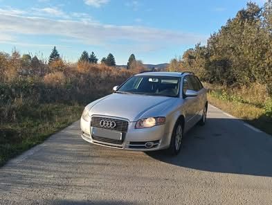 Vand/schimb audi A4 B7 2.0 tdi