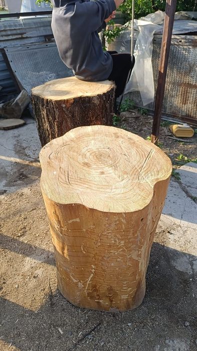 Продам рубочный пенек( карагач)