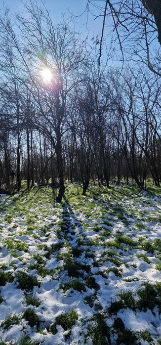 Teren 5720 mp Intravilan Valter Mărăcineanu - Iesire la Lac,