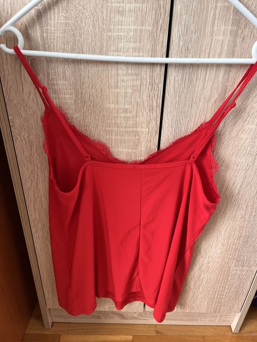 Червен потник