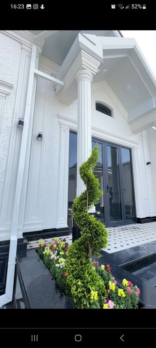 Kalonna kalona fasad dekor  ichi poke usti tosh