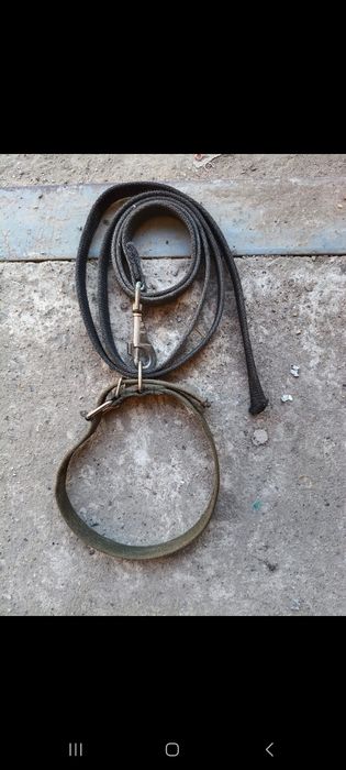Продам ошейник с поводком