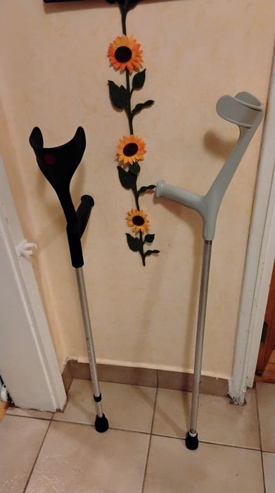 2 bastoane/cârjă  ortopedic/ă