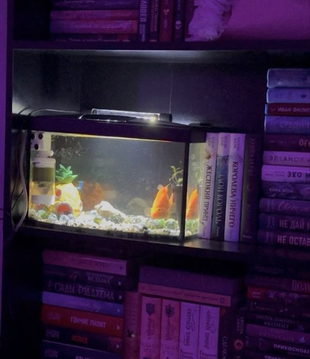 аквариум на 20 литров