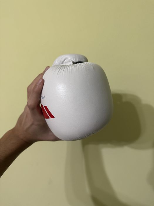 Перчатки и шлем IBA