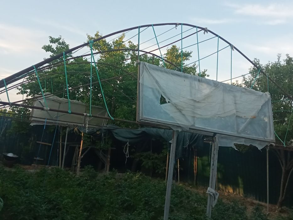 Parnik sotiladi Kogon Tumani