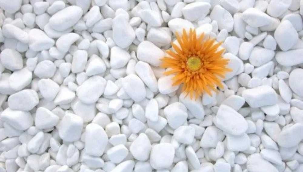 Piatra decorativa / marmura alba thasos - diferite culori GRADINA