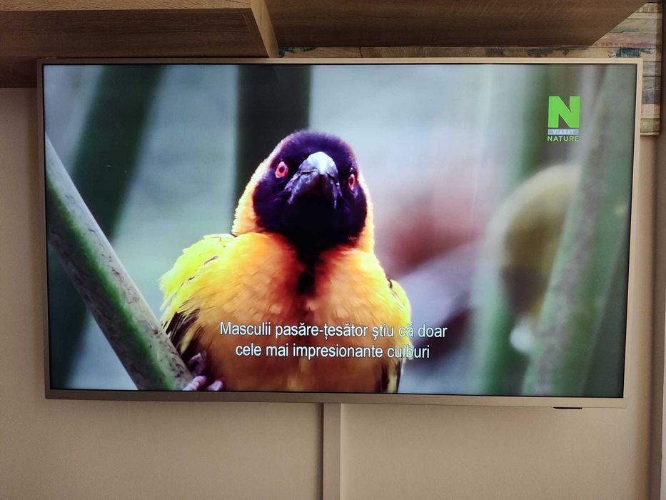 Televizor 4K LED Smart Android Philips, 126 cm, Ambilight